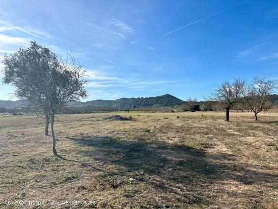 Casa rústica en venta en Porreres - BALEARES