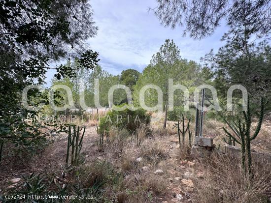 Terreno para construir la casa de tus sueños en Colinas de San Antonio - VALENCIA