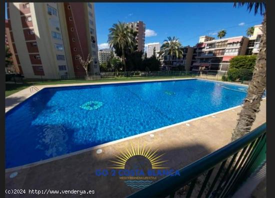 Se Vende en Benidorm - ALICANTE