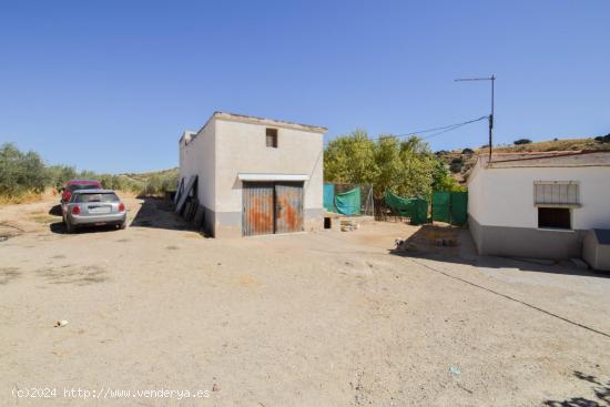 ¡Magnífica Finca de 18 Hectáreas en Plena Producción de Almendros y Olivos! - GRANADA