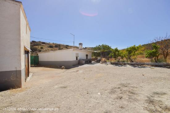 ¡Magnífica Finca de 18 Hectáreas en Plena Producción de Almendros y Olivos! - GRANADA