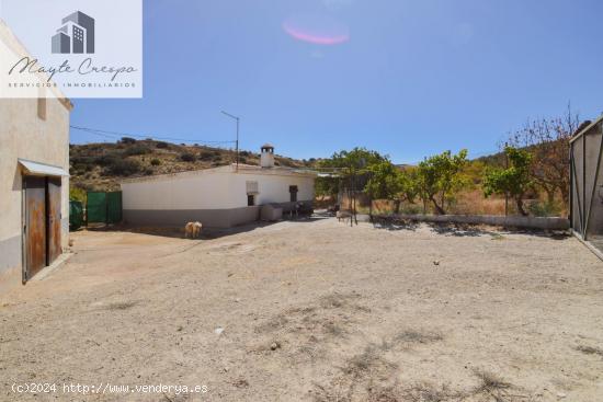 ¡Magnífica Finca de 18 Hectáreas en Plena Producción de Almendros y Olivos! - GRANADA