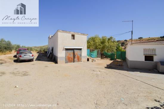 ¡Magnífica Finca de 18 Hectáreas en Plena Producción de Almendros y Olivos! - GRANADA