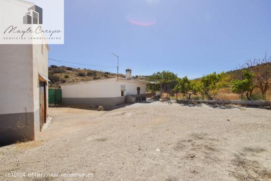 ¡Magnífica Finca de 18 Hectáreas en Plena Producción de Almendros y Olivos! - GRANADA