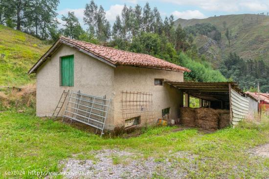 OPORTUNIDAD UNICA DE CASA PARA REHABILITAR - ASTURIAS