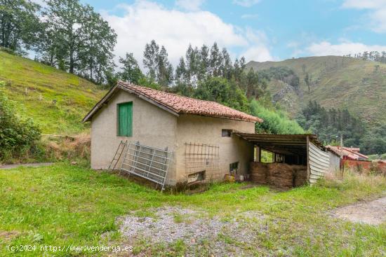 OPORTUNIDAD UNICA DE CASA PARA REHABILITAR - ASTURIAS