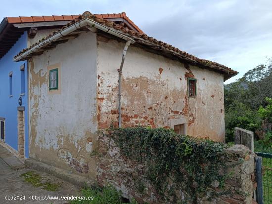 Oportunidad Única: Finca con Pumarada y Edificación a Reformar en Villaviciosa - ASTURIAS