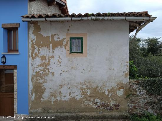 Oportunidad Única: Finca con Pumarada y Edificación a Reformar en Villaviciosa - ASTURIAS