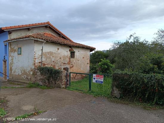 Oportunidad Única: Finca con Pumarada y Edificación a Reformar en Villaviciosa - ASTURIAS