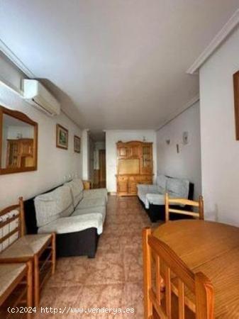 GRAN APARTAMENTO EN TORREVIEJA, 2 HAB, 1 BAÑOS - ALICANTE