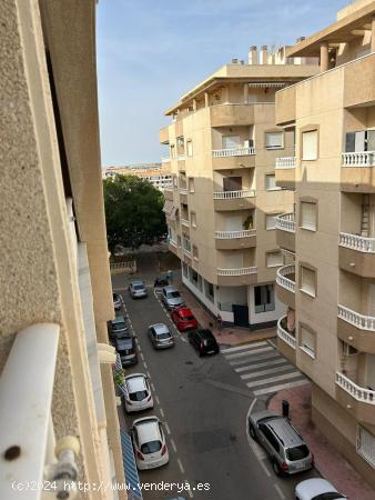 Apartamento 2 dormitorios  100 metros de la playa  - ALICANTE