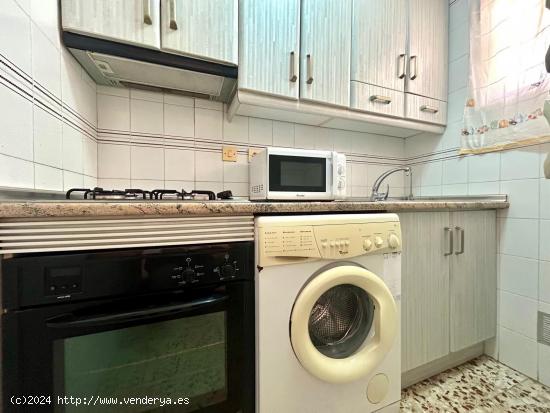 APARTAMENTO EN MIL PALMERAS DE 2 DORMITORIOS 1 BAÑO - ALICANTE