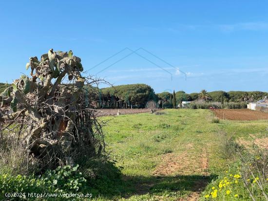 Se venden parcelas de 700m² muy cerca de Novo Sancti Petri - CADIZ