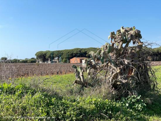 Se venden parcelas de 700m² muy cerca de Novo Sancti Petri - CADIZ