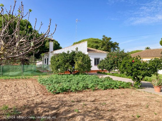 Villa en venta en Chiclana de la Frontera (Cádiz)