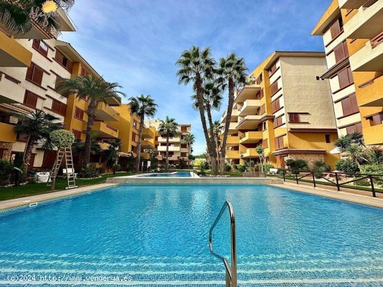  Apartamento en venta en Torrevieja (Alicante) 