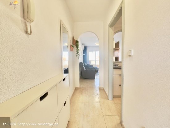 Apartamento en venta en Torrevieja (Alicante)