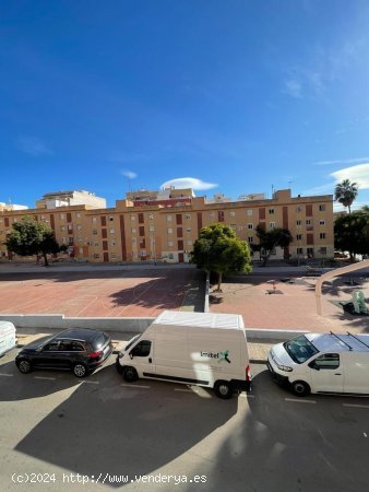  Estudio en venta en Torrevieja (Alicante) 