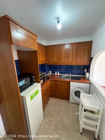 Estudio en venta en Torrevieja (Alicante)