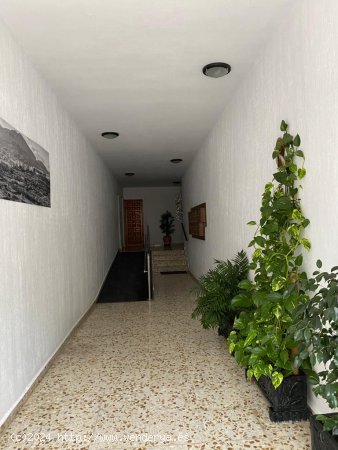 Apartamento en venta en Vélez-Rubio (Almería)