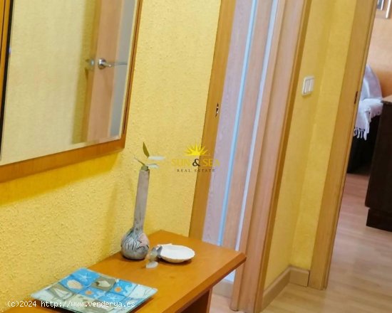 Apartamento en alquiler en Alicante (Alicante)