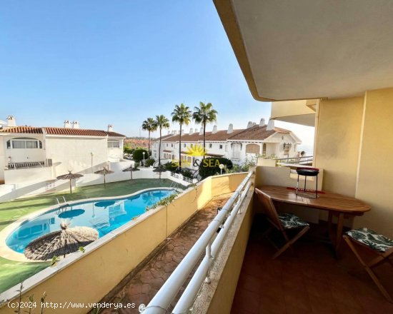 Apartamento en alquiler en Orihuela (Alicante)