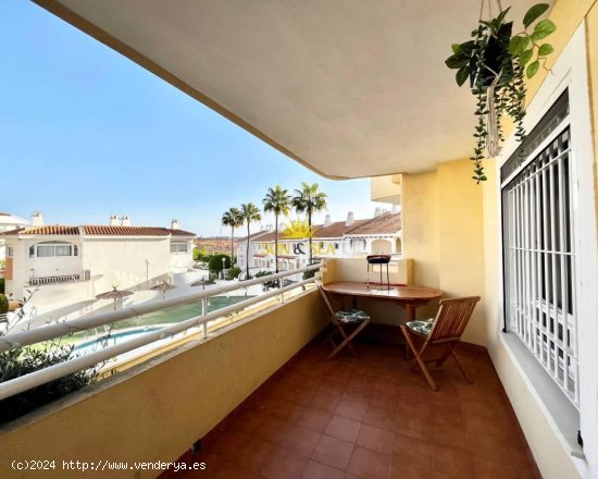 Apartamento en alquiler en Orihuela (Alicante)