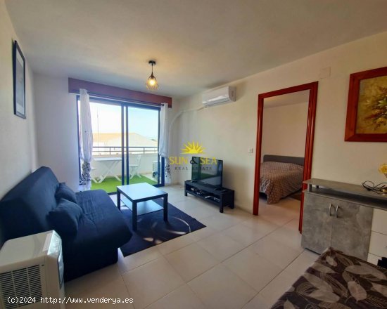 Apartamento en alquiler en Torrevieja (Alicante)