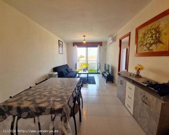 Apartamento en alquiler en Torrevieja (Alicante)