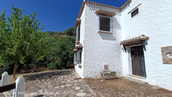 Finca en venta en Montefrío (Granada)