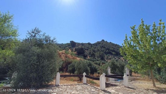 Finca en venta en Montefrío (Granada)