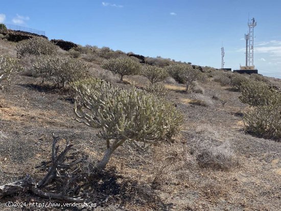 SE VENDE Parcela/Finca en Venta en Haría - Haría