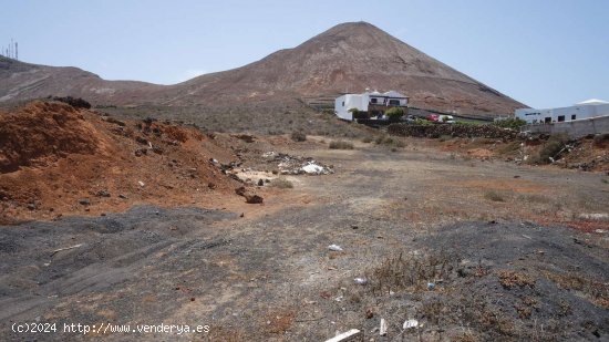 SE VENDE Parcela Urbana en Tinajo con 10,000m2 de terreno rústico - Tinajo