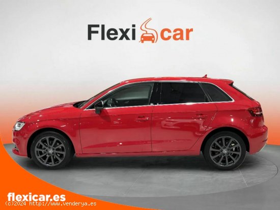 Audi A3 1.6 TDI 85kW (116CV) Sportback - Salamanca