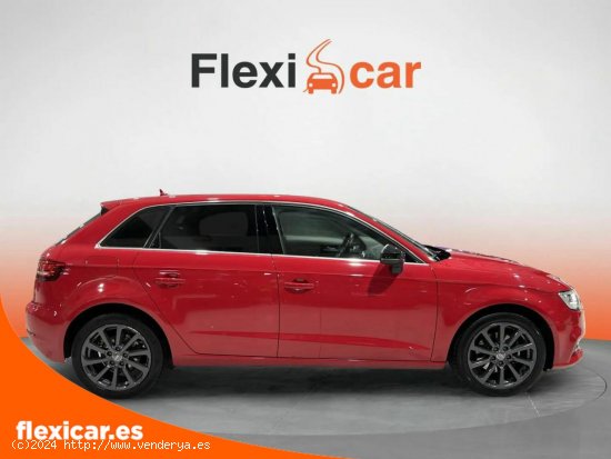 Audi A3 1.6 TDI 85kW (116CV) Sportback - Salamanca