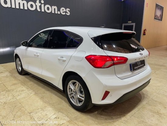 Ford Focus 1.0 Ecoboost MHEV 92kW Trend+ - Vigo