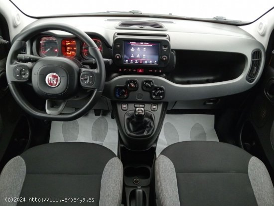 Fiat Panda City Life Hybrid 1.0 Gse 51kw (70CV) - Las Palmas de Gran Canaria