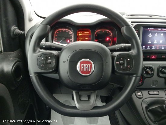 Fiat Panda City Life Hybrid 1.0 Gse 51kw (70CV) - Las Palmas de Gran Canaria