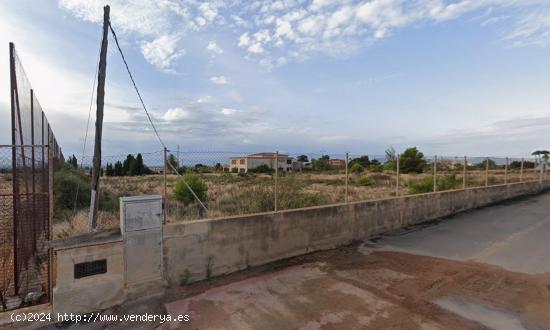 PARCELA RUSTICA EN PEÑA LAS AGUILAS - ALICANTE