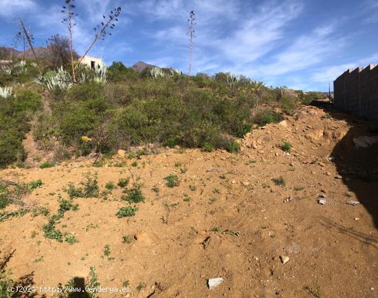  Terreno Guimar - SANTA CRUZ DE TENERIFE 