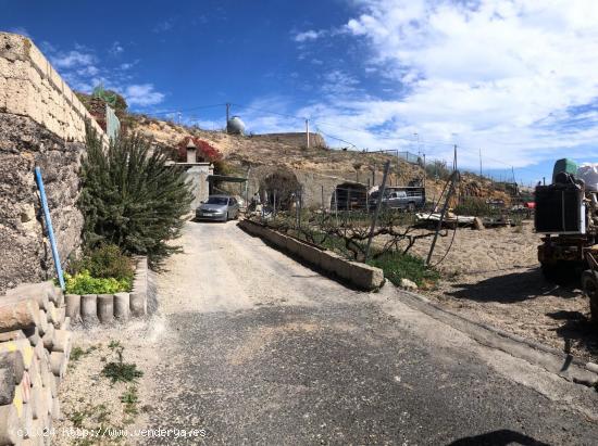  Terreno Fasnia - SANTA CRUZ DE TENERIFE 