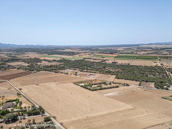 TERRENO CAMINO MANACOR VILAFRANCA - BALEARES