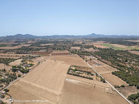 TERRENO CAMINO MANACOR VILAFRANCA - BALEARES