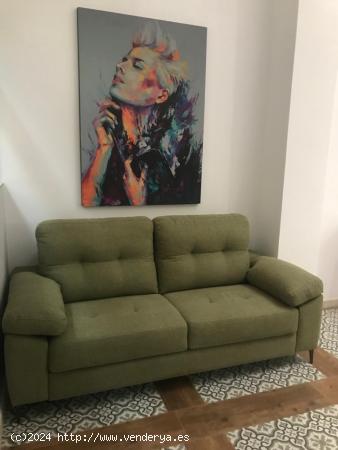 BONITO APARTAMENTO EN ALQUILER CENTRO LOFT - CANTABRIA