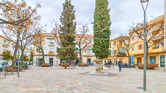 Oficina desarrollada en 2 plantas, situada en la calle Sagrada Familia de Granada. - GRANADA