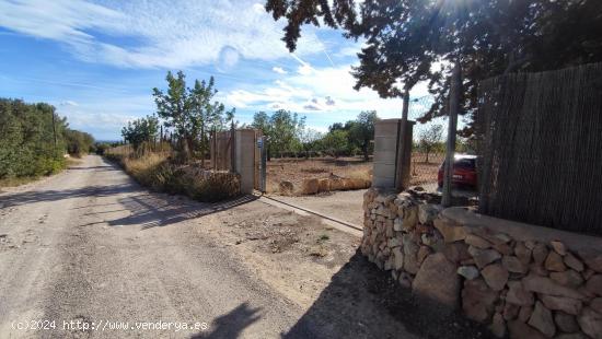  Terreno en Llucmajor - BALEARES 