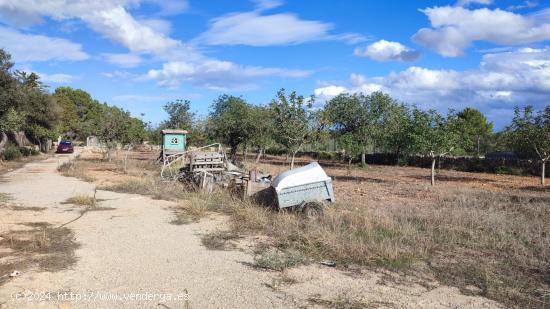 Terreno en Llucmajor - BALEARES