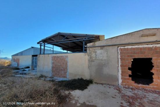 Nave Industrial en la población de La Romana, provincia de Alicante. 1.545 m2 - ALICANTE