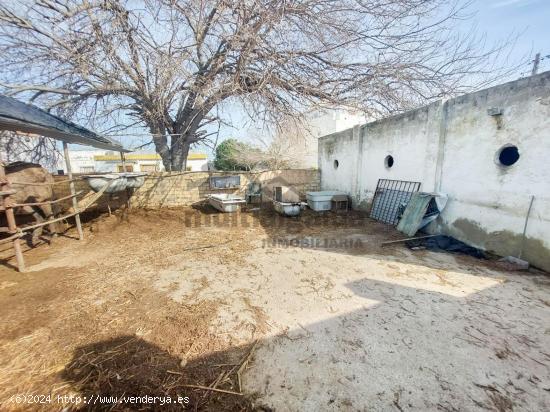 TERRENO RÚSTICO EN LA ZONA DE LA BOTÁNICO - CADIZ