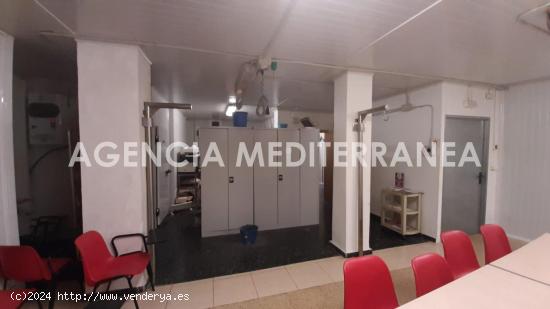 LOCAL COMERCIAL EN ALQUILER EN VALENCIA - VALENCIA